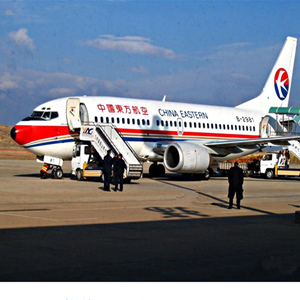 伊尔施航空物流-当日到达,轻松快捷