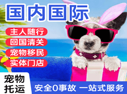 伊尔施航空物流国际宠物托运 【国