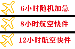 伊尔施航空物流快递公司,专业空运当天件